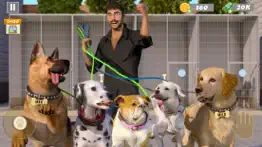 animal rescue - dog simulator alternatives 2