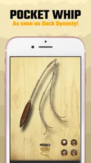 pocket whip: original whip app alternatives 3