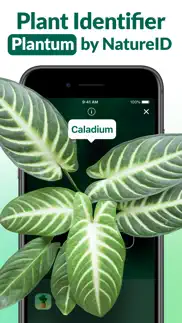 plantum - ai plant identifier alternatives 1