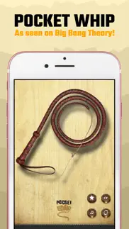 pocket whip: original whip app alternatives 2