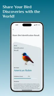 bird identifier, bird id alternativer 5