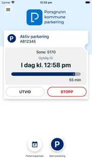porsgrunn kommune parkering alternativer 1