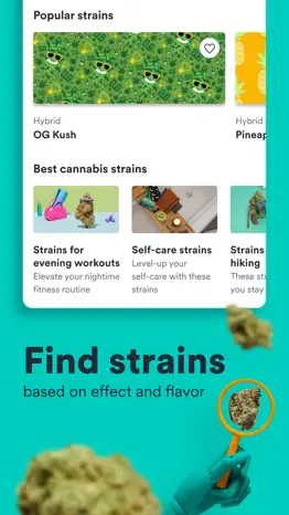 weedmaps: cannabis, weed & cbd alternatives 1