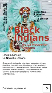 black indians nouvelle-orléans alternatives 2