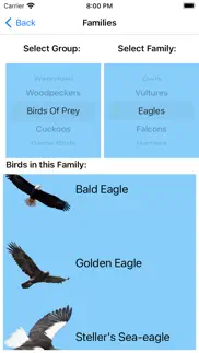 bird field guide for kids alternatives 5