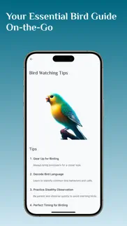 bird identifier, bird id alternativer 10