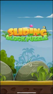 sliding block puzzle premium alternatives 5