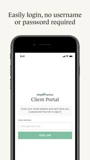 simplepractice client portal alternatives 3