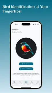 bird identifier, bird id alternativer 8