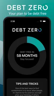debt zero alternatives 1
