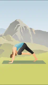 pocket yoga teacher alternatives 4