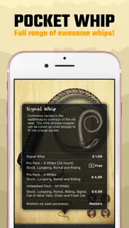 pocket whip: original whip app alternatives 4