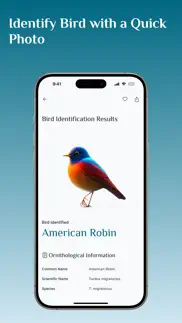 bird identifier, bird id alternativer 3