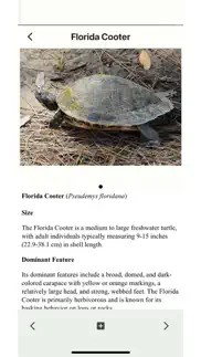 wildlife of florida alternatives 6