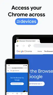 google chrome alternatives 6